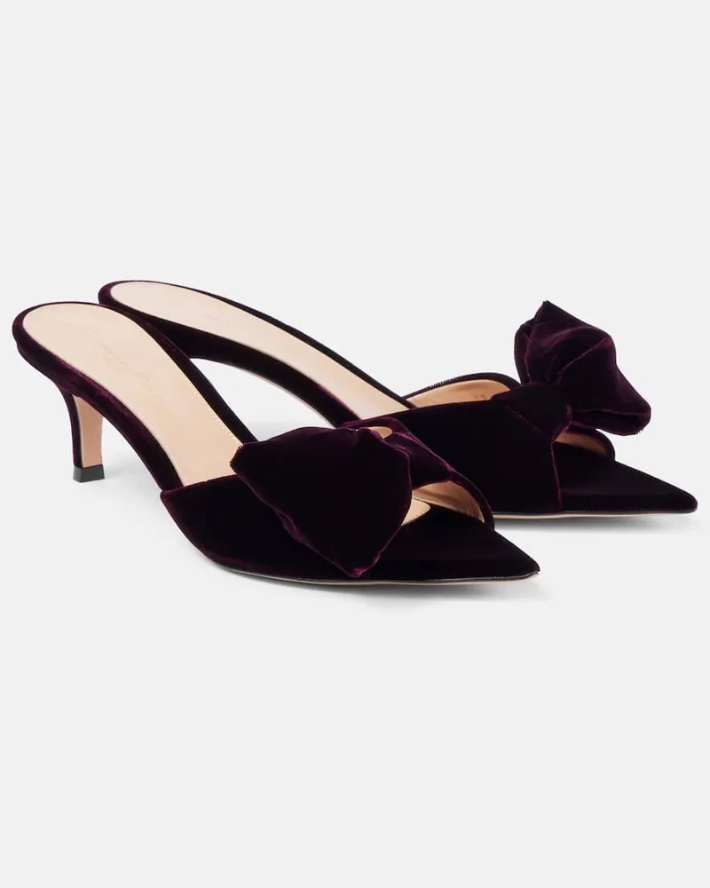 Gianvito Rossi Mules 55 in velluto con fiocco Viola