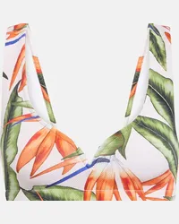 Alexandra Miro Top bikini Kamala con stampa Multicolore