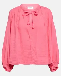 Velvet Top Kathleen in garza di cotone Rosa