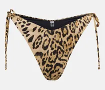 Slip bikini Susan con stampa leopardata