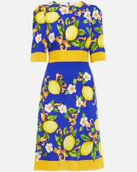 Dolce & Gabbana Abito midi in misto seta con stampa Multicolore