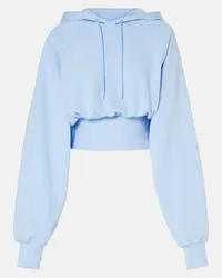 adidas Felpa cropped in jersey di cotone Blu