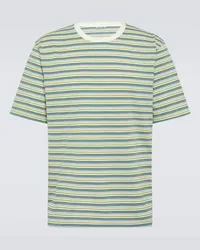 AURALEE T-shirt in cotone a righe Multicolore