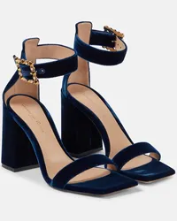 Gianvito Rossi Sandali Wondy in velluto Blu