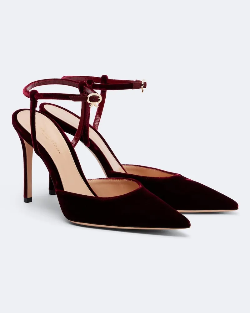 Gianvito Rossi Pumps in velluto Borgogna