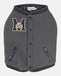 Moncler Moncler Poldo Dog Couture - Cappotto per cani Grigio