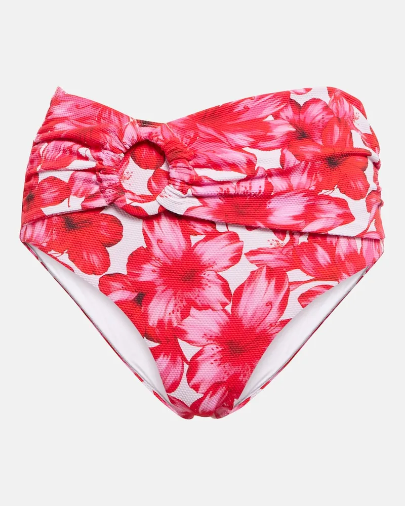 Alexandra Miro Slip bikini Dorit con stampa Multicolore