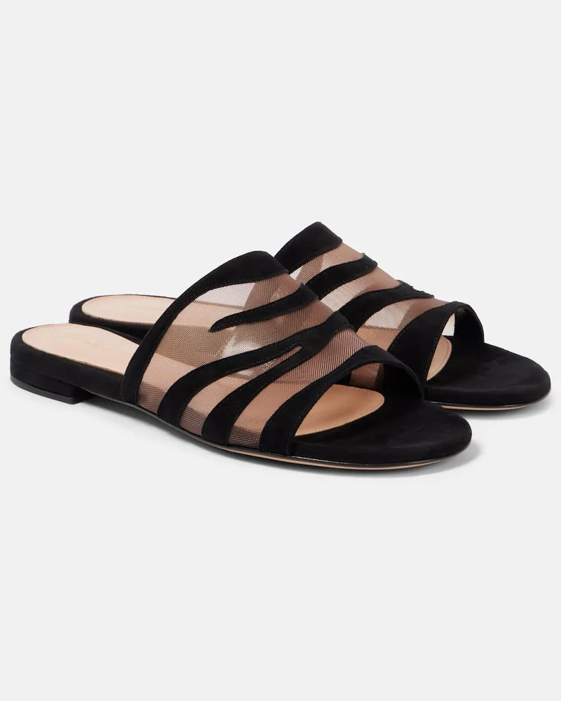 Gianvito Rossi Sandali Tigra in suede e mesh Nero