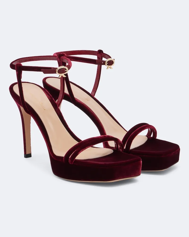 Gianvito Rossi Sandali platform in velluto Borgogna