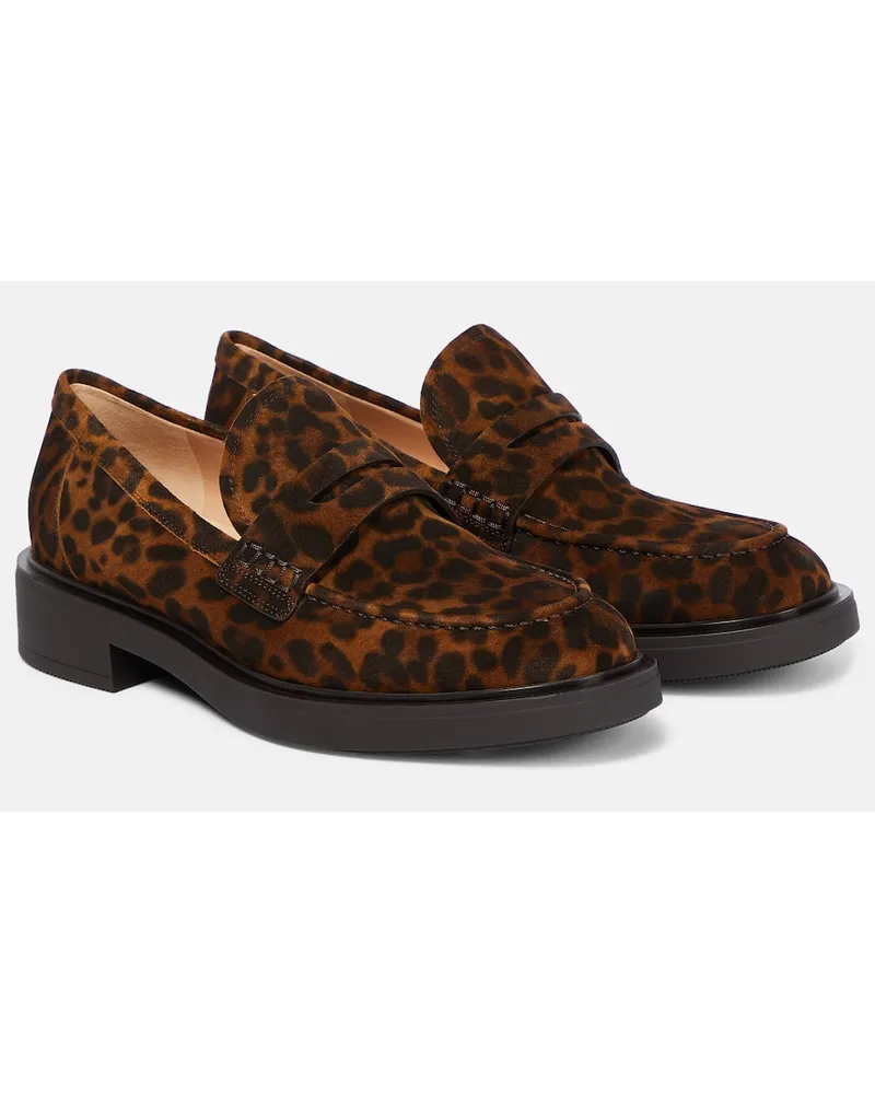 Gianvito Rossi Mocassini Harris in suede con stampa Marrone