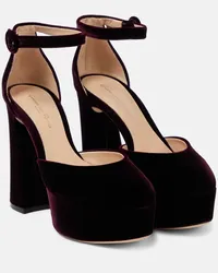 Gianvito Rossi Pumps Holly D'Orsay in velluto con plateau Viola