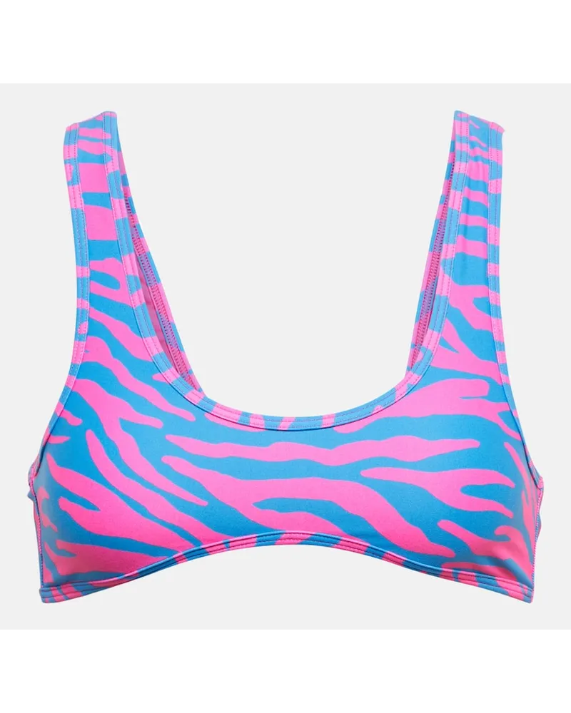 Reina Olga Top bikini Coolio con stampa Blu