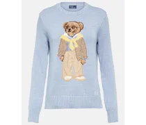 Pullover Polo Bear in cotone