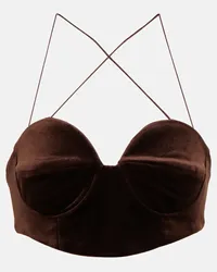 Alex Perry Bralette in velluto Marrone