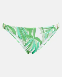 Melissa Odabash Slip bikini Martinique con stampa Verde