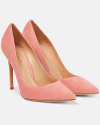 Gianvito Rossi Pumps Gianvito 105 in suede Marrone