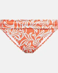 Heidi Klein Slip bikini Coral Gardens Arancione