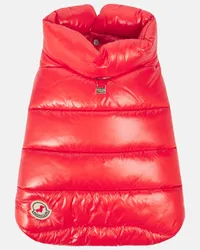 Moncler Moncler Poldo Dog Couture - Cappotto per cani Rosso