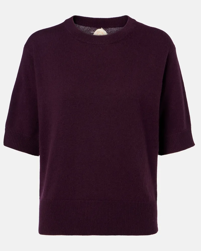 Jardin des Orangers Pullover in cashmere Viola