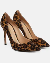 Gianvito Rossi Pumps Gianvito 105 in suede Marrone