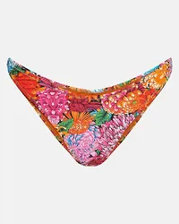 Reina Olga Slip bikini Brigitte con stampa Multicolore