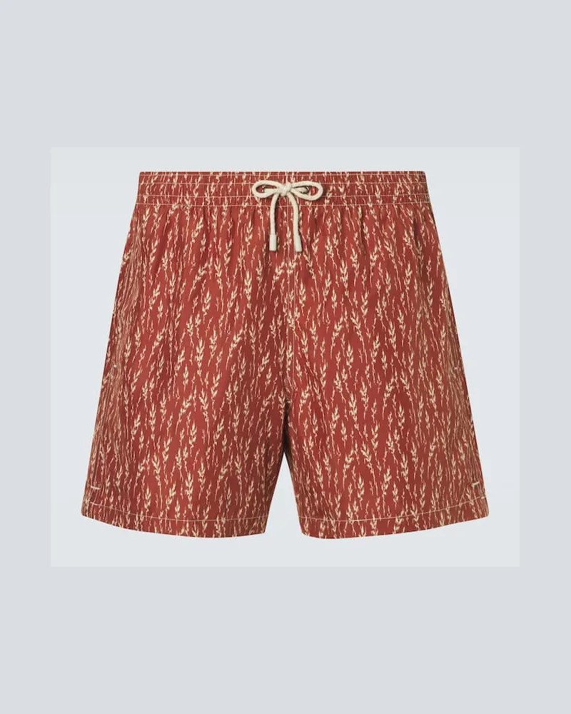 Canali Costume da bagno con stampa Marrone