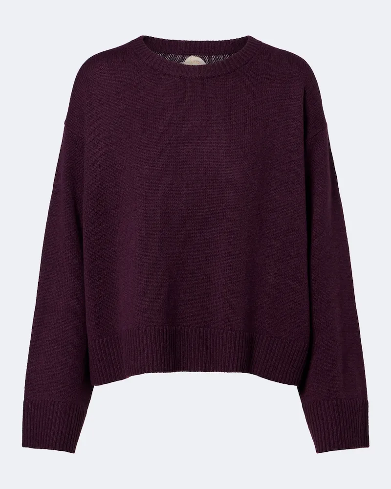 Jardin des Orangers Pullover in cashmere Viola