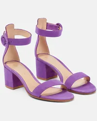 Gianvito Rossi Sandali Versilia 60 in suede Viola