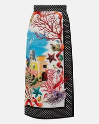 Dolce & Gabbana Gonna midi Capri in cotone con stampa Multicolore