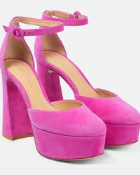 Gianvito Rossi Pumps Holly D’orsay in suede Rosa