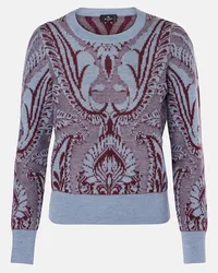 Etro Pullover in jacquard di lana Multicolore