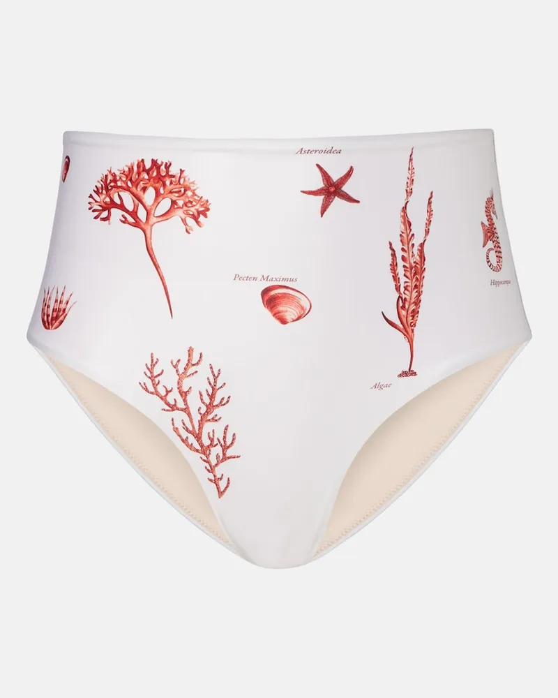 AGUA BENDITA Slip bikini Magdalena con stampa Bianco