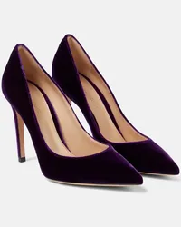 Gianvito Rossi Pumps Gianvito 105 in velluto Viola