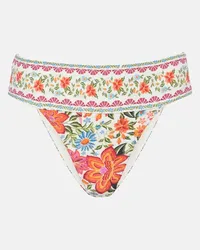 FARM Rio Slip bikini con stampa floreale Multicolore