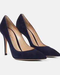 Gianvito Rossi Pumps in suede Blu