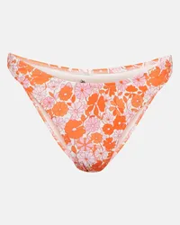 Reina Olga Slip bikini Brigitte con stampa Multicolore