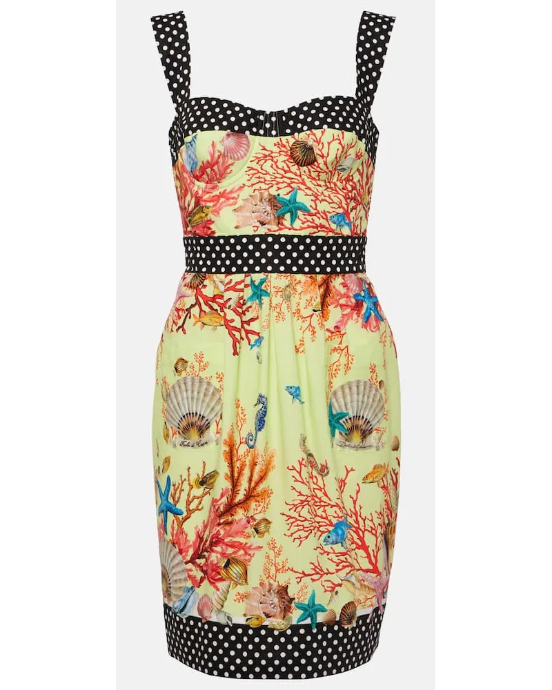 Dolce & Gabbana Miniabito Capri in cotone con stampa Multicolore