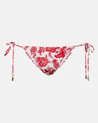 Melissa Odabash Slip bikini Miami con stampa floreale Multicolore