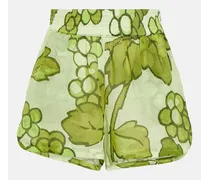 Shorts in ramia con stampa