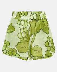 Etro Shorts in ramia con stampa Verde