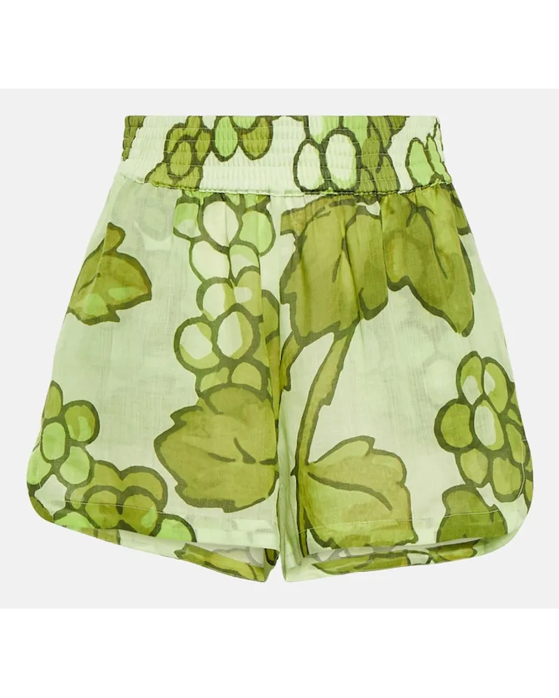 Etro Shorts in ramia con stampa Verde