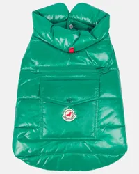 Moncler Moncler Poldo Dog Couture - Cappotto per cani Verde