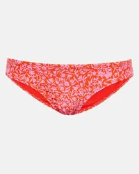 Heidi Klein Slip bikini Limpopo con stampa Multicolore