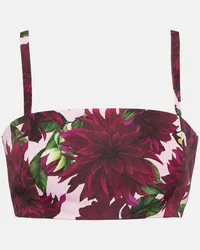 Oscar de la Renta Bralette con stampa Rosa