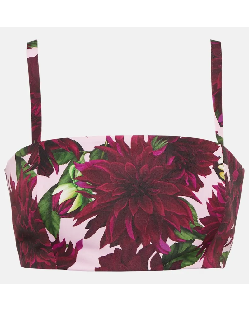 Oscar de la Renta Bralette con stampa Rosa