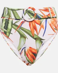 Alexandra Miro Slip bikini Ursula Multicolore