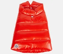 Moncler Moncler Poldo Dog Couture - Cappotto per cani Rosso