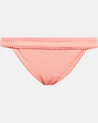 Heidi Klein Slip bikini Rosa Polyantha Rosa