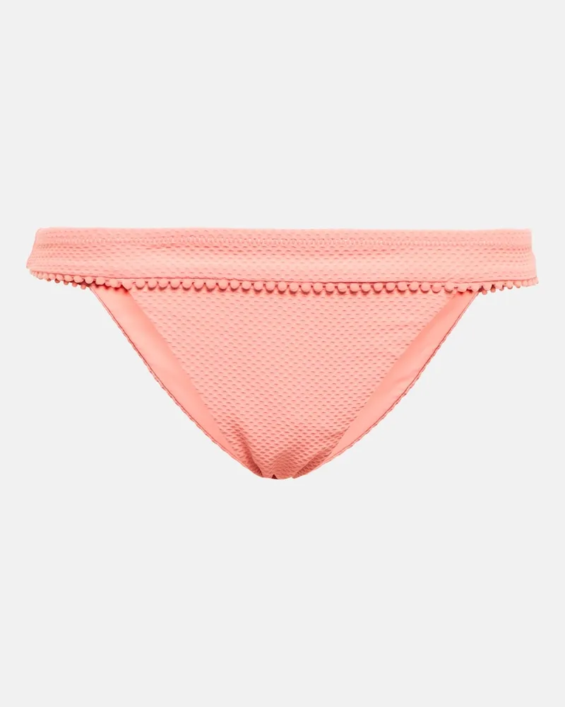 Heidi Klein Slip bikini Rosa Polyantha Rosa