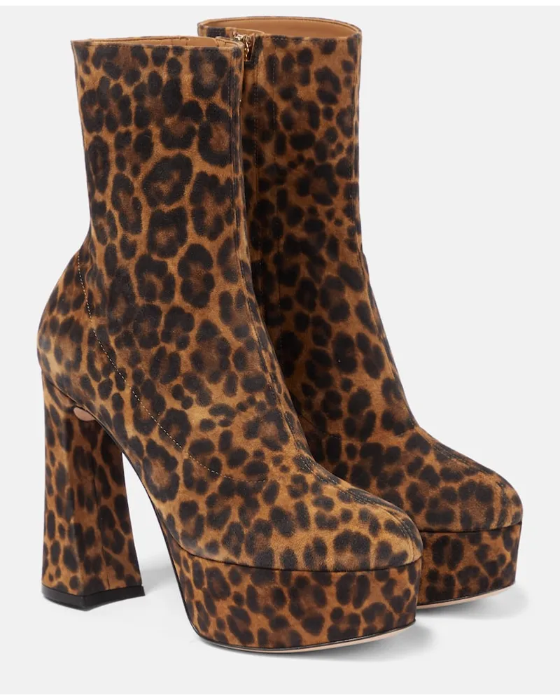 Gianvito Rossi Stivaletti in suede Multicolore
